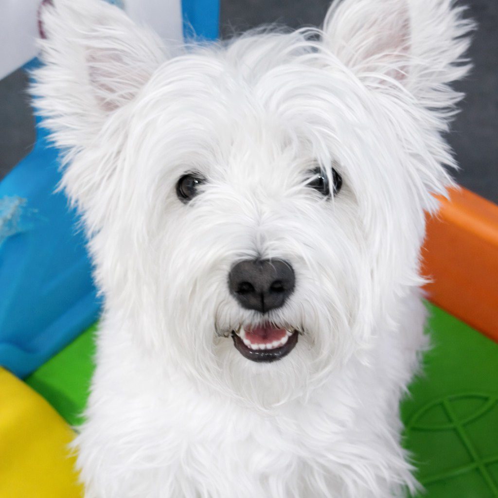 9B53CE06-7D58-4100-81EE-28174F36D862