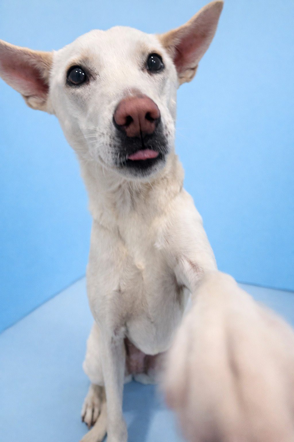 DD024810-941E-4E15-8E94-956242C428E4