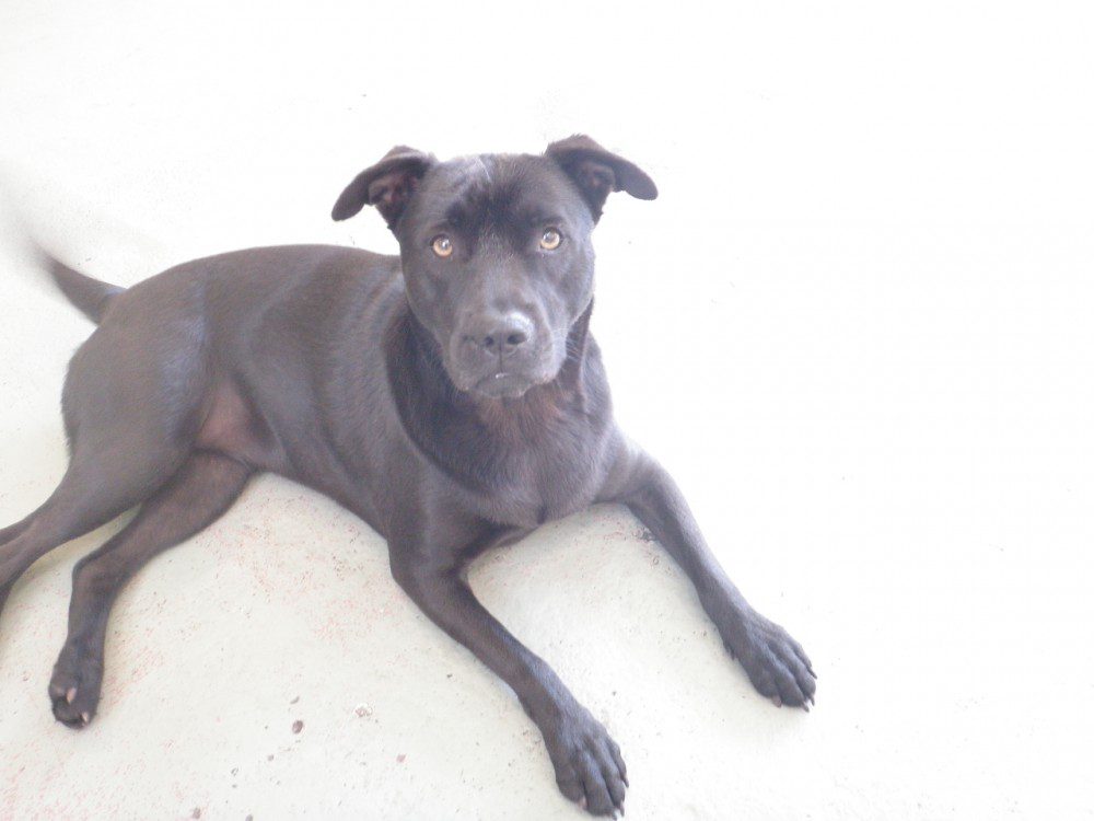 Jude-June-9-12-32-e1367449120915