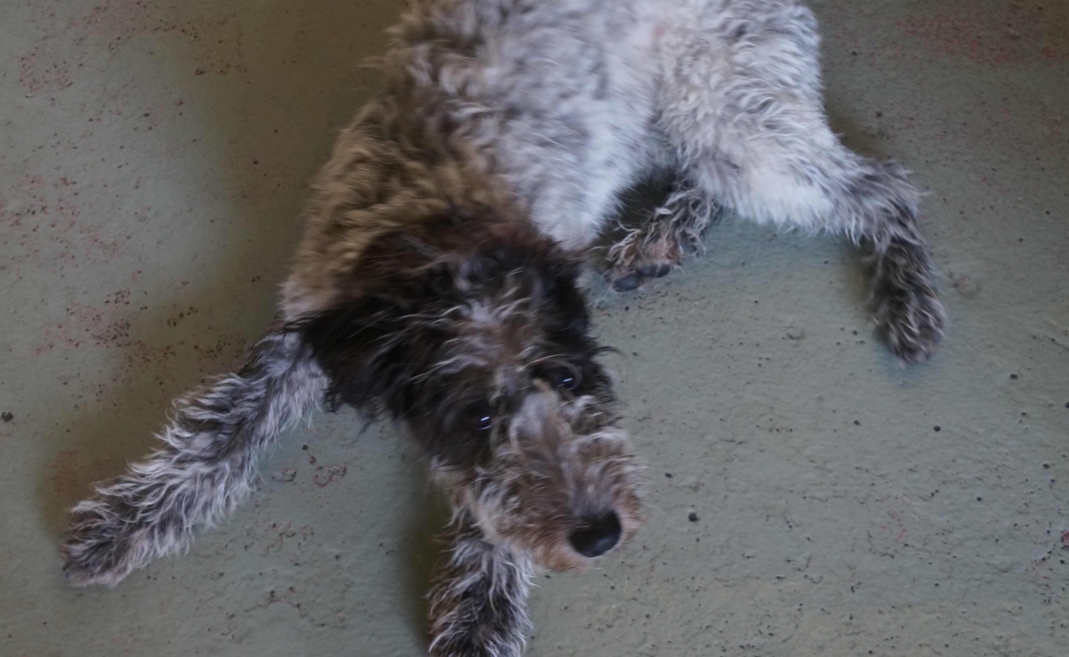 Laverne-3-e1379718317842