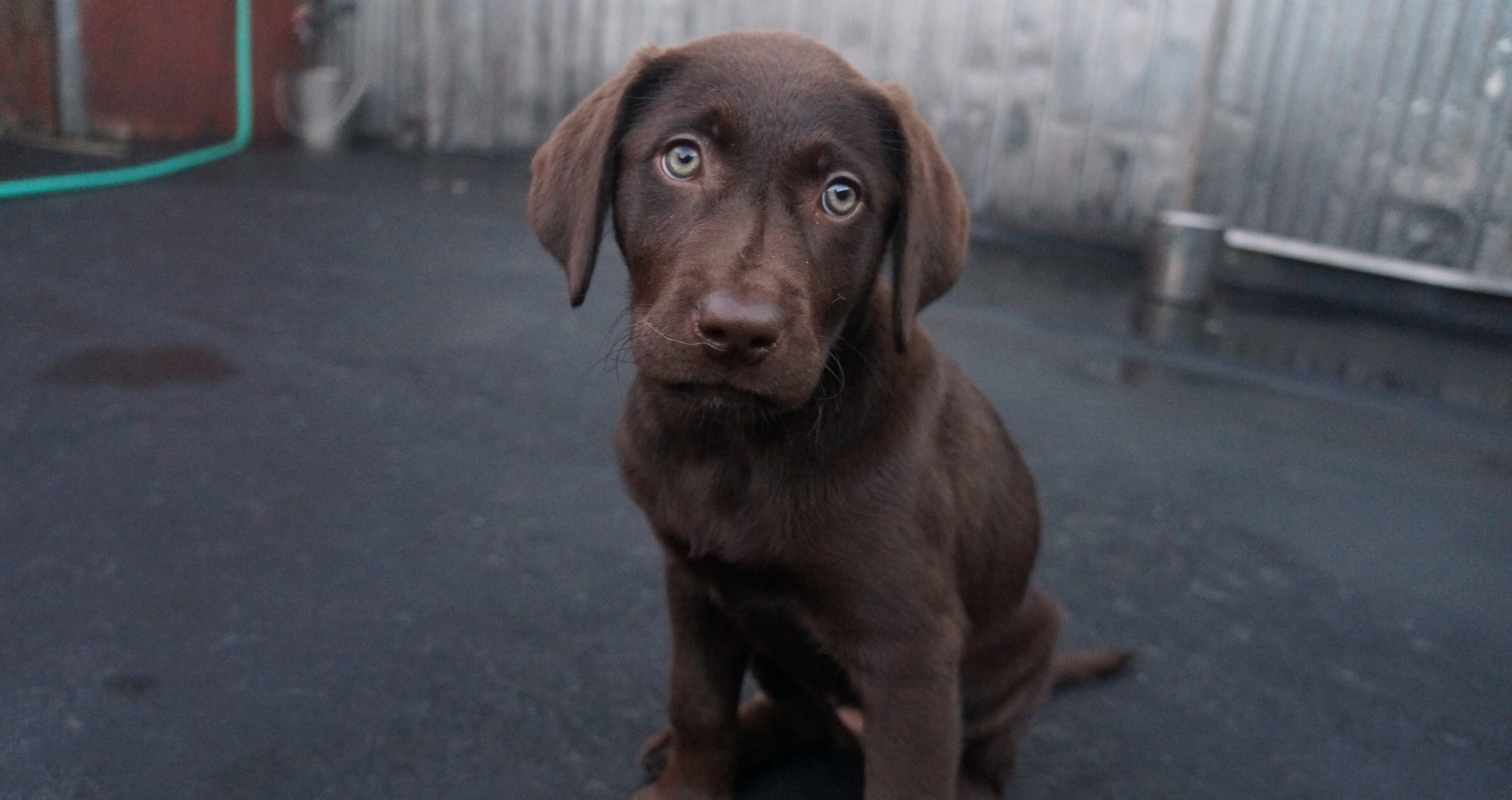 Missy-164-e1397072795289