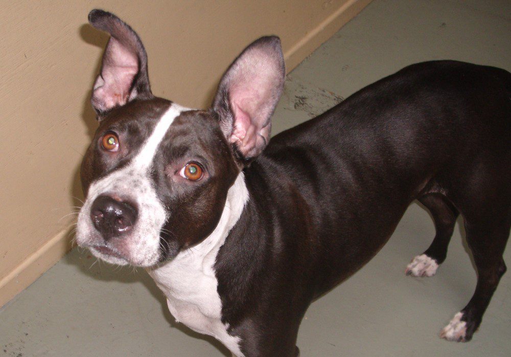 Murphy-W-2-e1367794115981