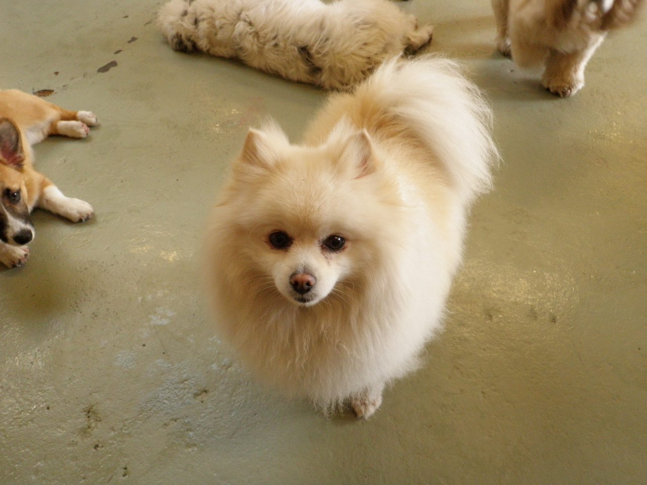 Rudy-Feb-22-12-24