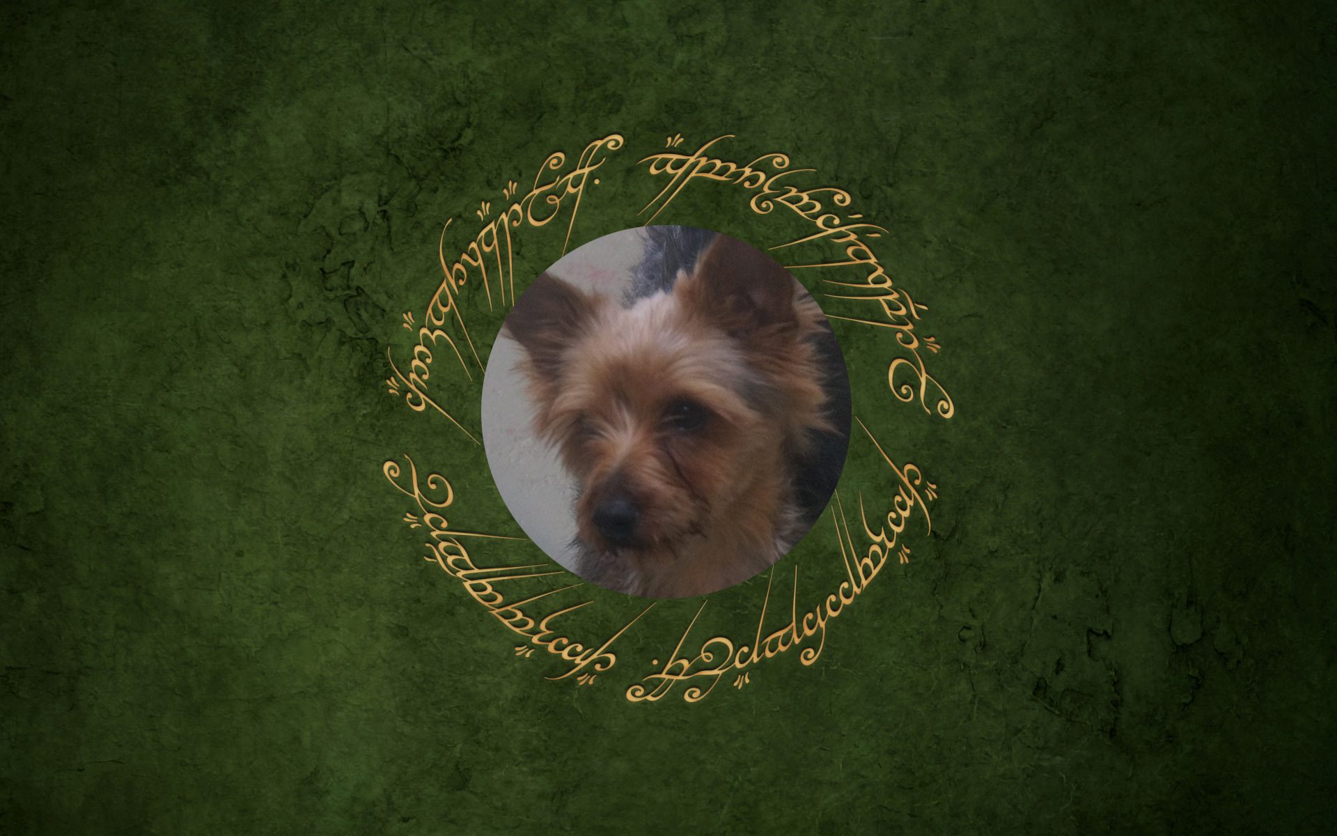 Dog in center of ornate circular pattern