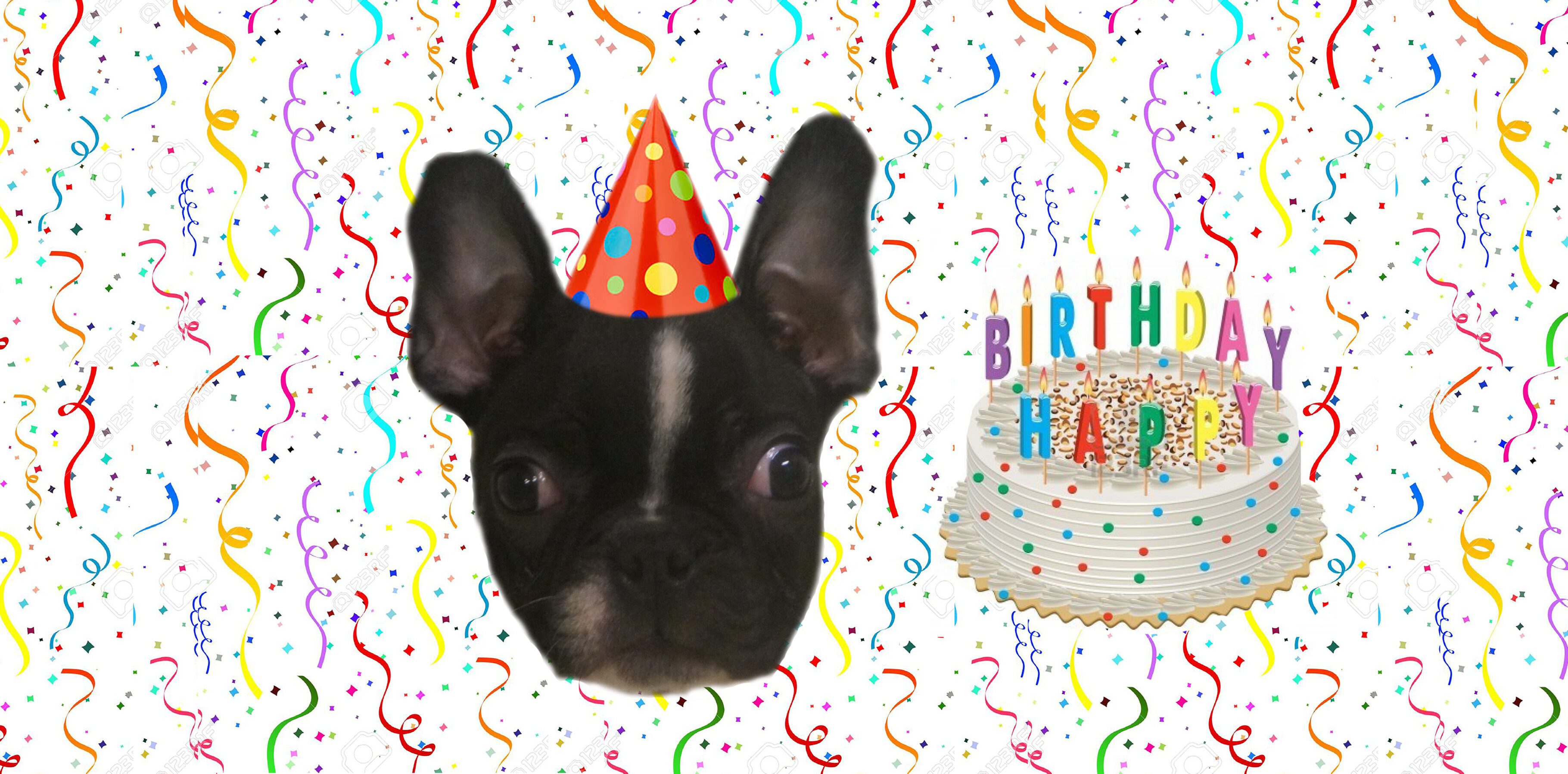 Birthday celebration with dog and cake
