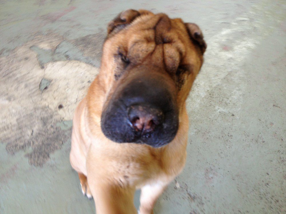 winston-k-3-e1371768548502