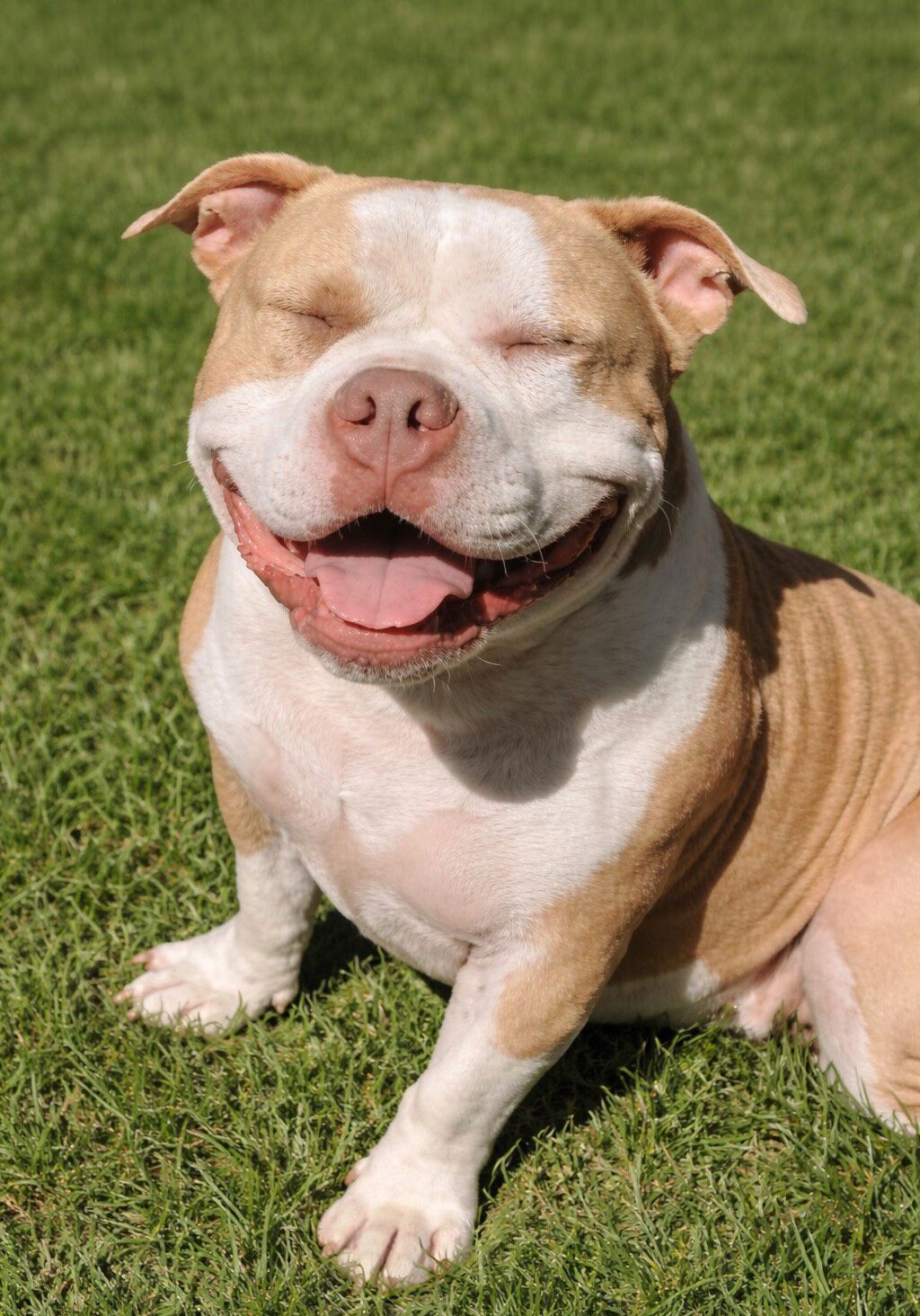 55DE84C6-2409-4857-A015-1AB303A2EADE